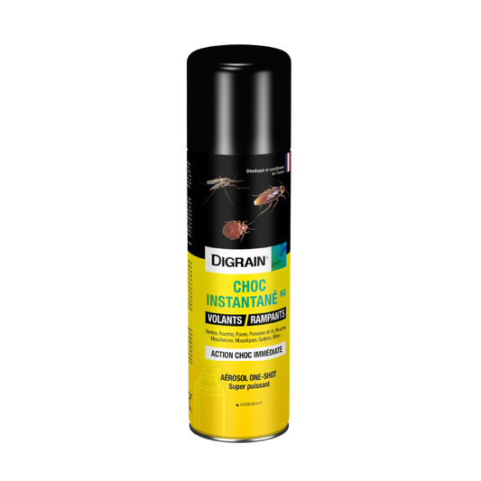 DIGRAIN Choc instantané 400ml NG