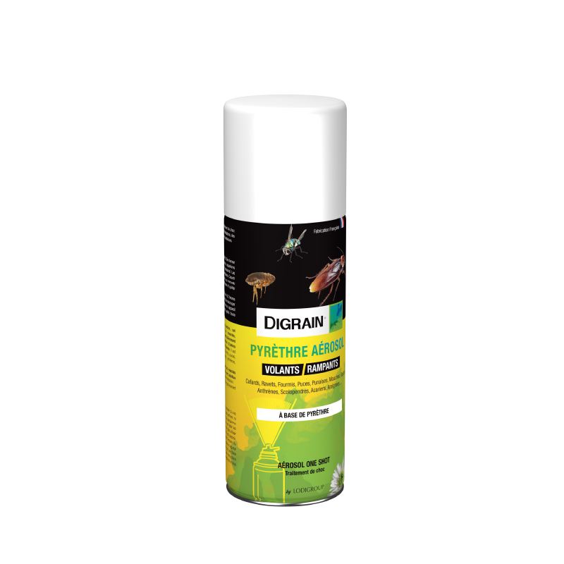 DIGRAIN Pyrèthre aérosol one shot NG