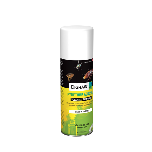 DIGRAIN Pyrèthre aérosol one shot NG